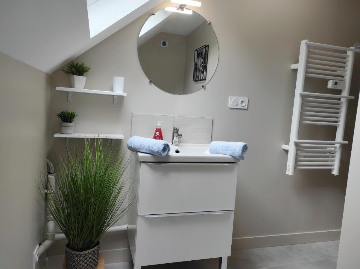 Duplex Appartement 70M2 Atypique Au Coeur Du Mans 勒芒 外观 照片